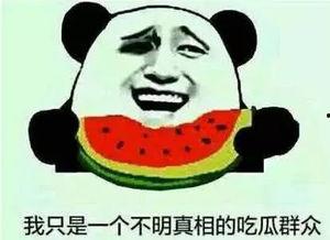 娱乐吃瓜有趣名字怎么取